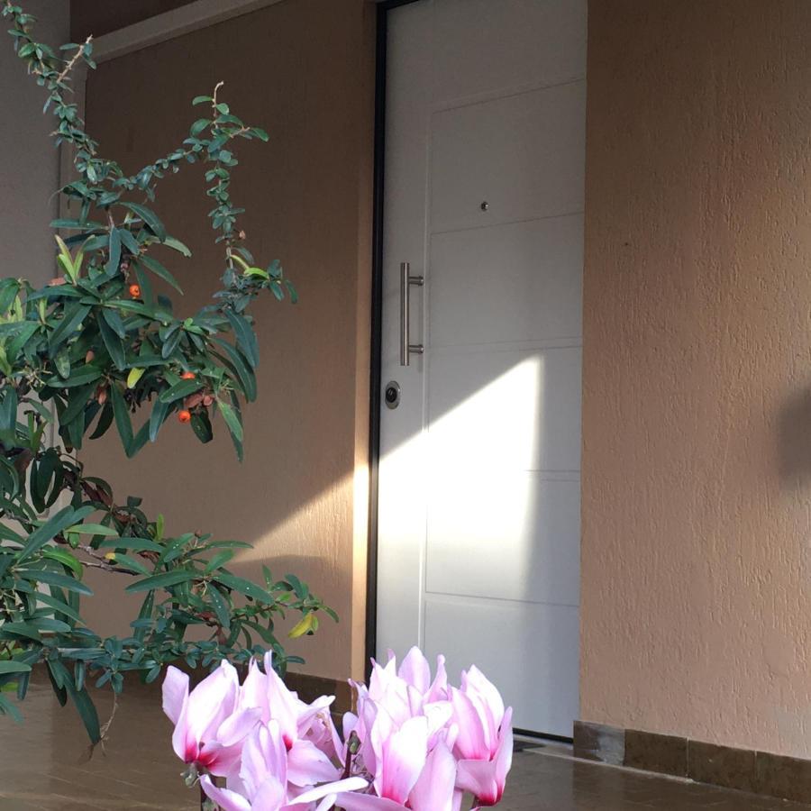 Casa Di Lucia B&B Ladispoli Ngoại thất bức ảnh